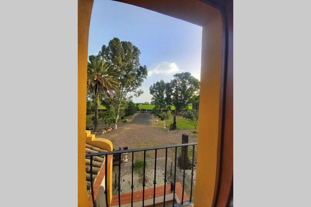 세비야 Cortijo San Jose 빌라 외부 사진