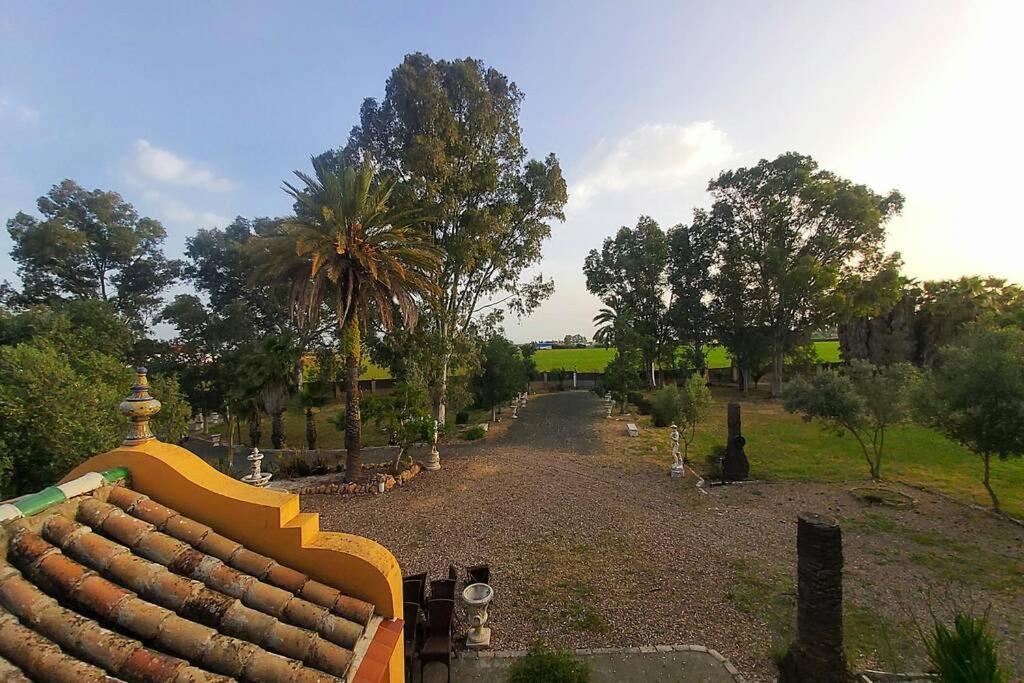 세비야 Cortijo San Jose 빌라 외부 사진